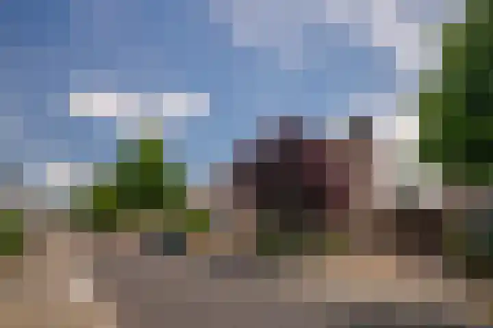 Aronskelk 67 Elsloo thumbnail 31