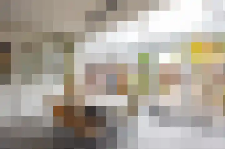 Aronskelk 82 Venray thumbnail 14