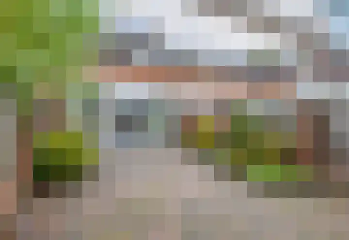 Aronskelk 82 Venray thumbnail 31