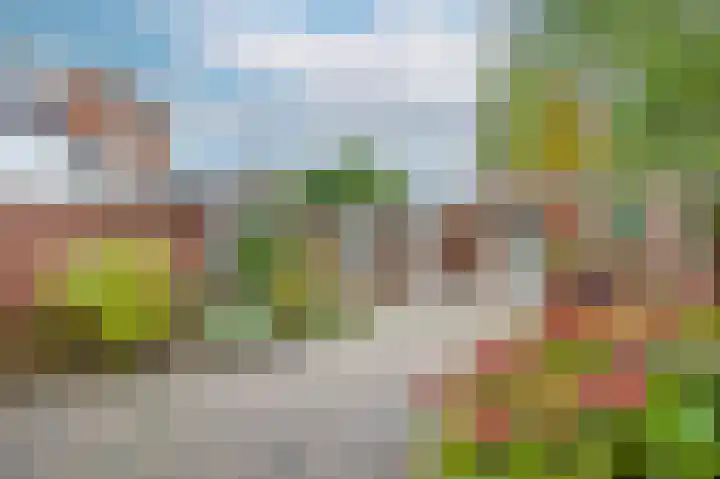 Aronskelk 82 Venray thumbnail 34