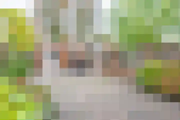 Aronskelk 82 Venray thumbnail 35