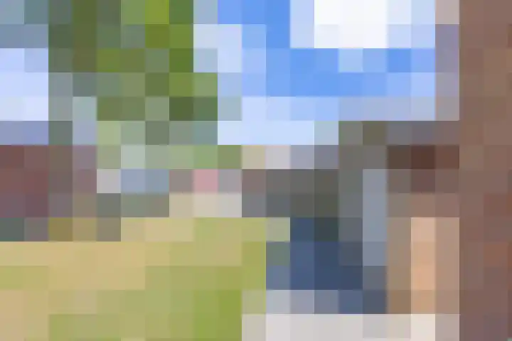 Aronskelk 82 Venray thumbnail 36