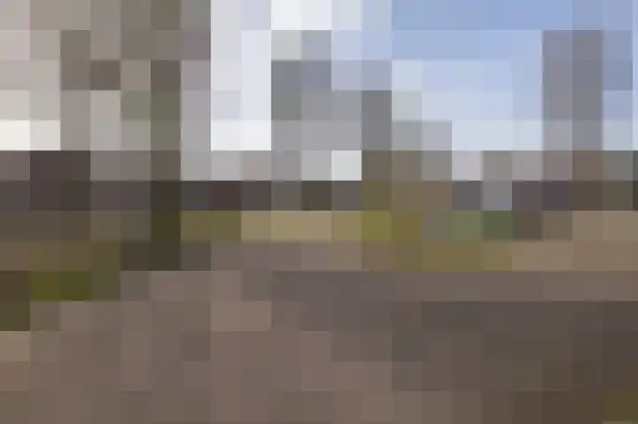 Aronskelk 82 Venray thumbnail 38