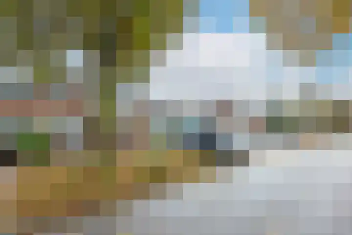 Aronskelk 82 Venray thumbnail 39