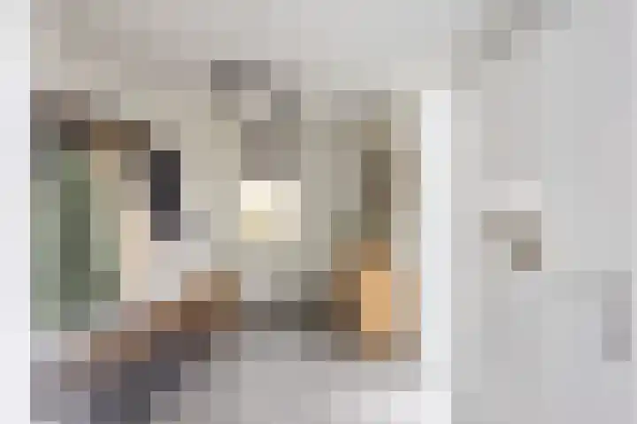 Aronskelk 82 Venray thumbnail 4