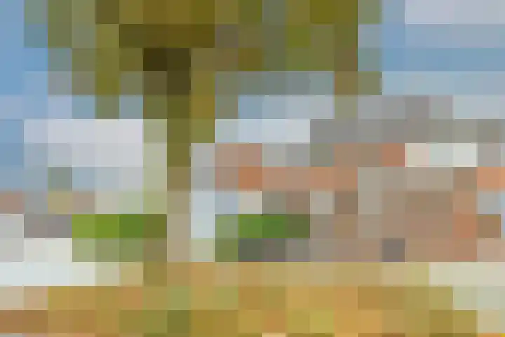 Aronskelk 82 Venray thumbnail 40