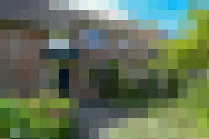 Aronskelk 9 Cuijk