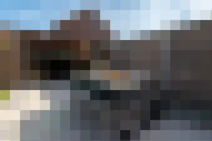 Arsenaal 29 Culemborg thumbnail 33
