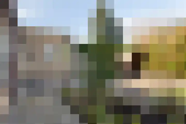 Arsenaal 29 Culemborg thumbnail 47