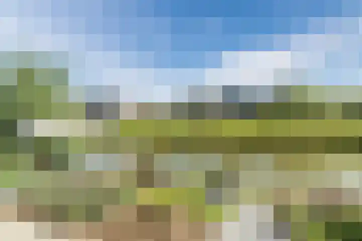Arsenaal 3 Culemborg thumbnail 4