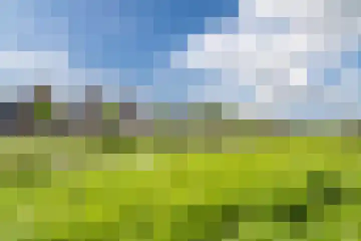 Arsenaal 52 Culemborg thumbnail 4