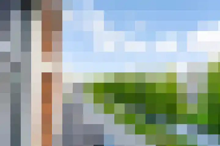 Artemissingel 220 Almere thumbnail 25