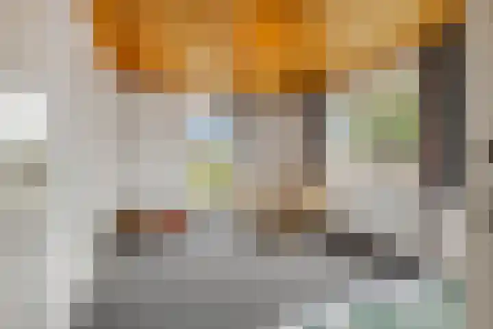 Arthur van Schendellaan 8 Ede thumbnail 16