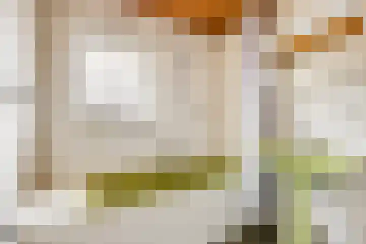 Arthur van Schendellaan 8 Ede thumbnail 17