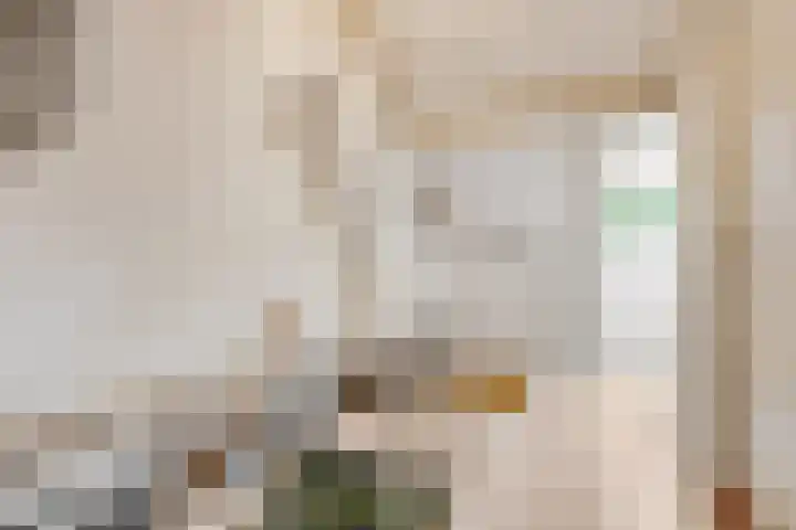Arthur van Schendellaan 8 Ede thumbnail 20