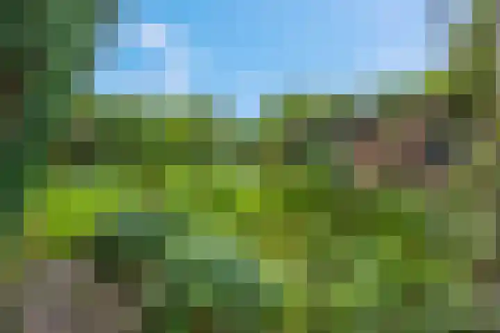 Arthur van Schendellaan 8 Ede thumbnail 22