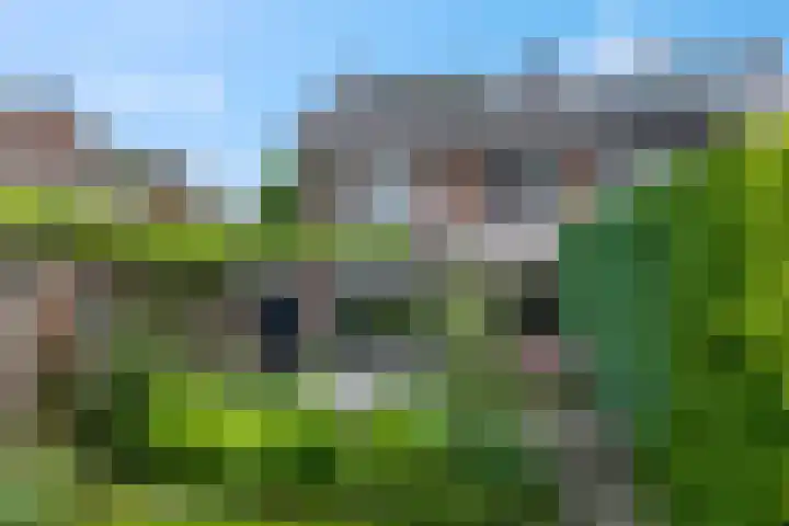 Arthur van Schendellaan 8 Ede thumbnail 23