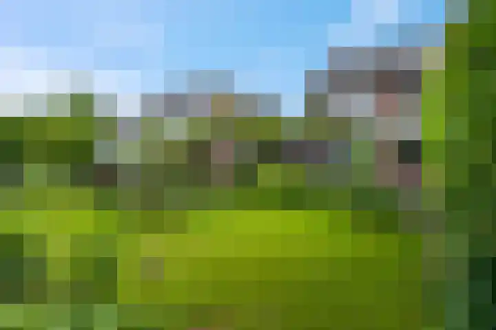 Arthur van Schendellaan 8 Ede thumbnail 24