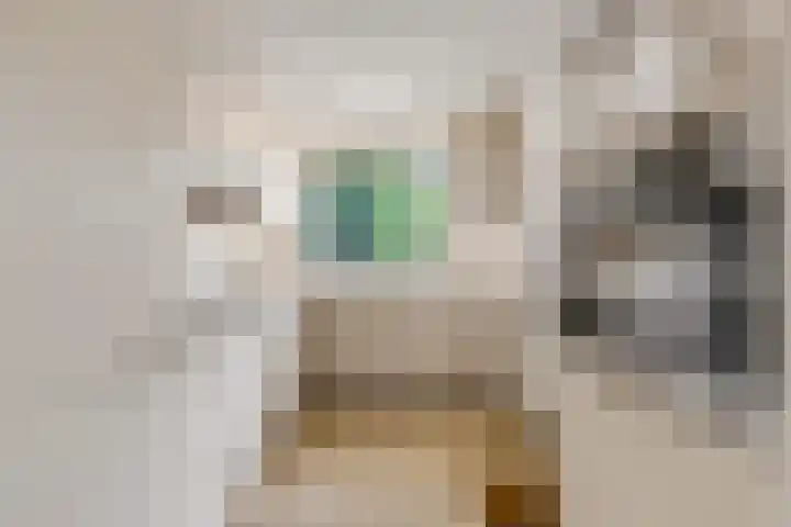 Arthur van Schendellaan 8 Ede thumbnail 8
