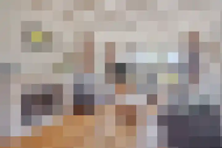 Arthur van Schendelstraat 30 Gemert thumbnail 10
