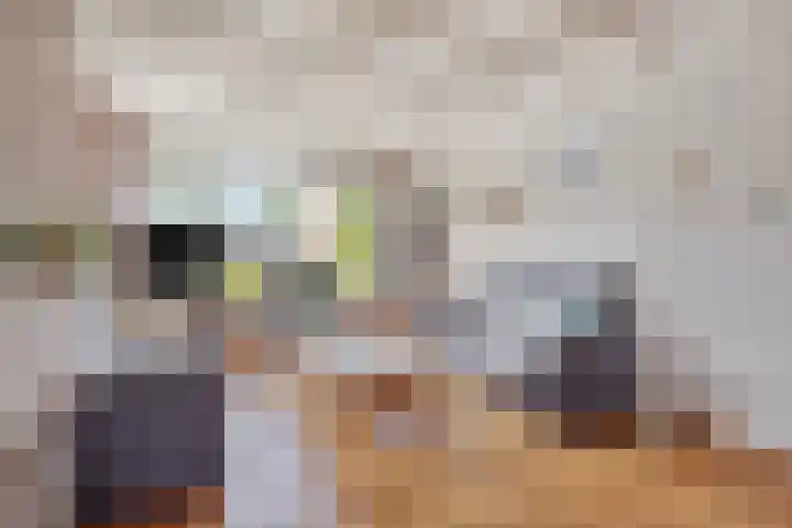 Arthur van Schendelstraat 30 Gemert thumbnail 11