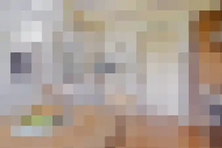 Arthur van Schendelstraat 30 Gemert thumbnail 17