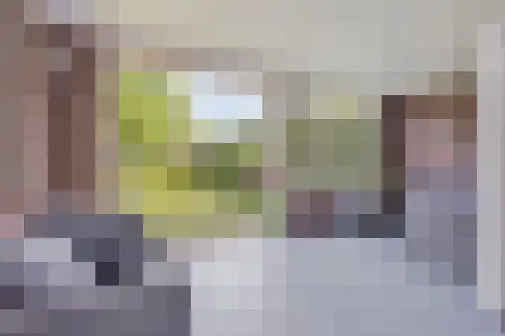 Arthur van Schendelstraat 30 Gemert thumbnail 18