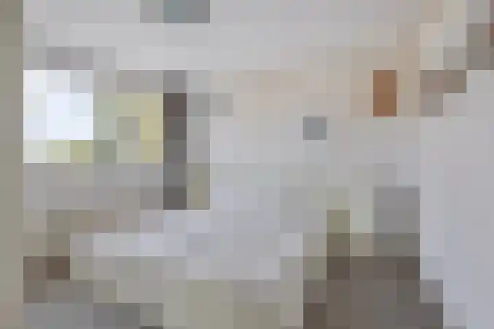 Arthur van Schendelstraat 30 Gemert thumbnail 22