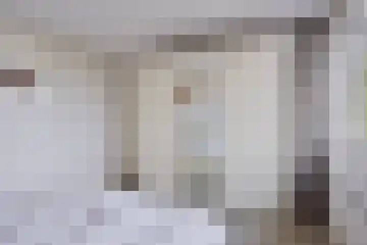 Arthur van Schendelstraat 30 Gemert thumbnail 23