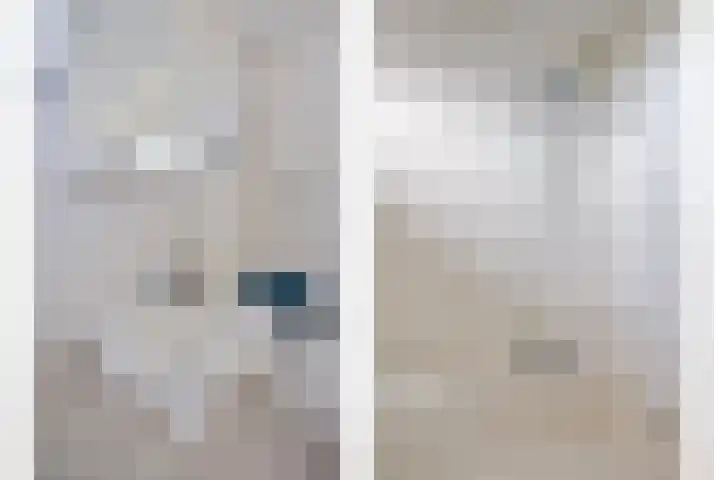 Arthur van Schendelstraat 30 Gemert thumbnail 27