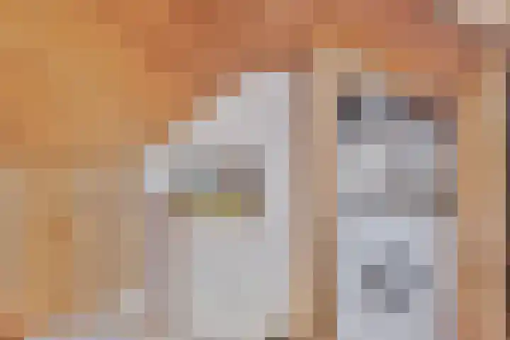 Arthur van Schendelstraat 30 Gemert thumbnail 28