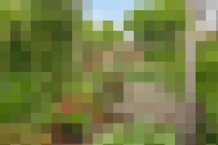 Arthur van Schendelstraat 30 Gemert thumbnail 36