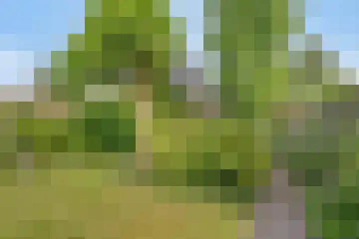 Arthur van Schendelstraat 30 Gemert thumbnail 5