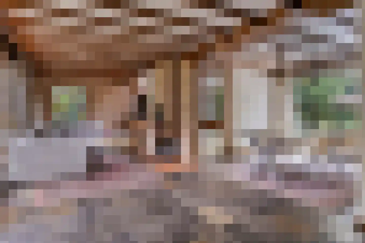 Artillerieweg 13 Uden thumbnail 14