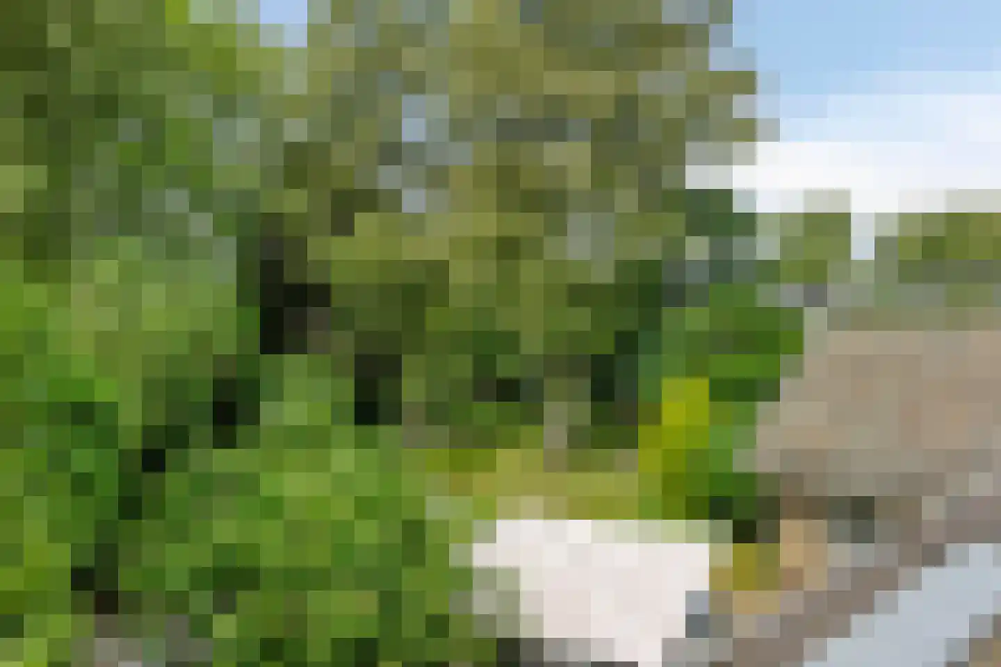 Artillerieweg 13 Uden thumbnail 34