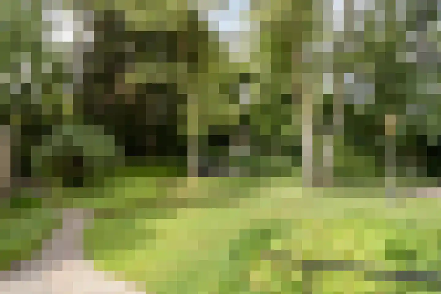 Artillerieweg 13 Uden thumbnail 43