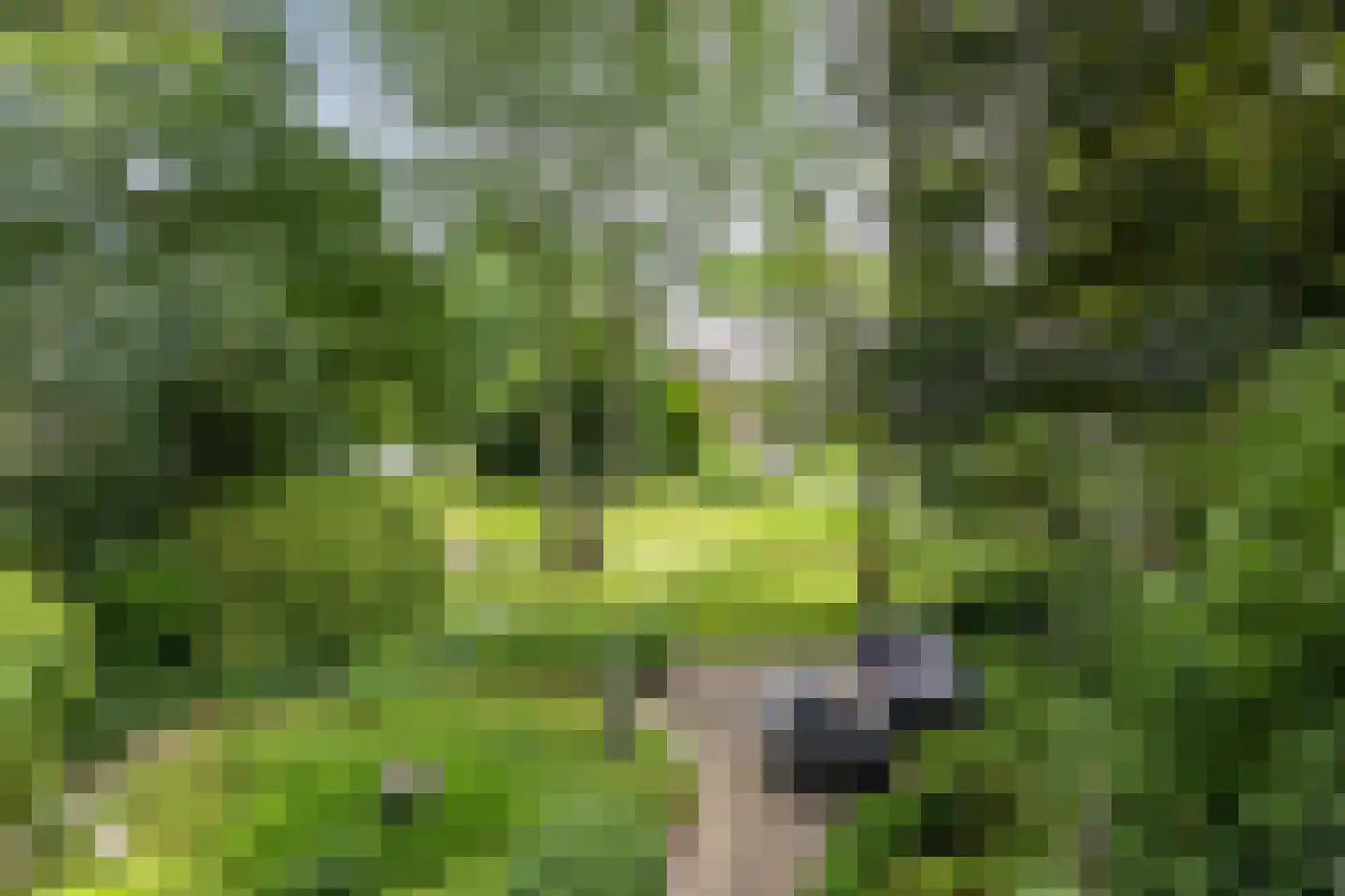 Artillerieweg 13 Uden thumbnail 5
