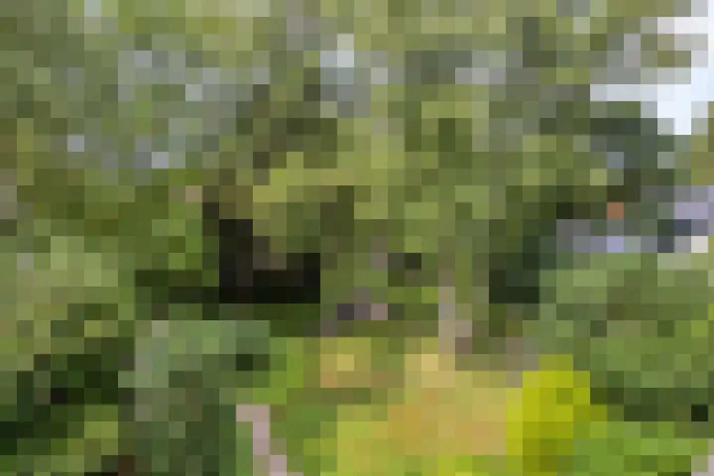 Artillerieweg 13 Uden thumbnail 56