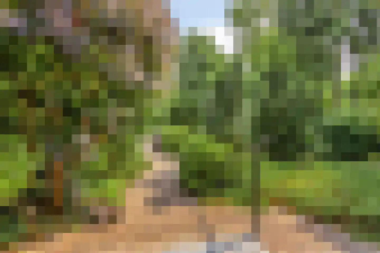 Artillerieweg 13 Uden thumbnail 58