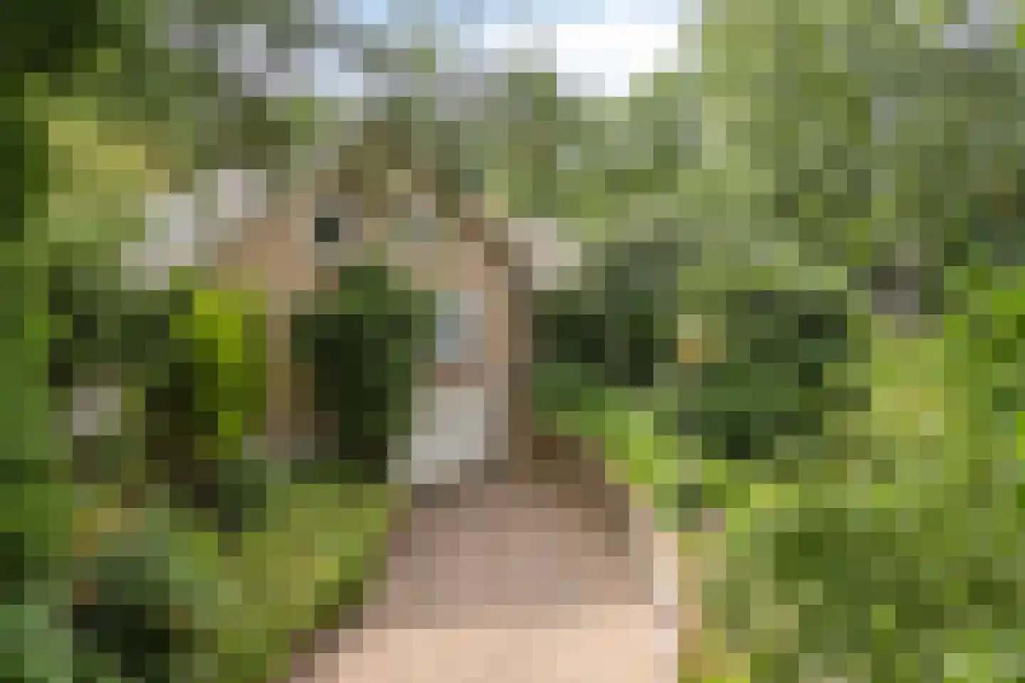 Artillerieweg 13 Uden thumbnail 61