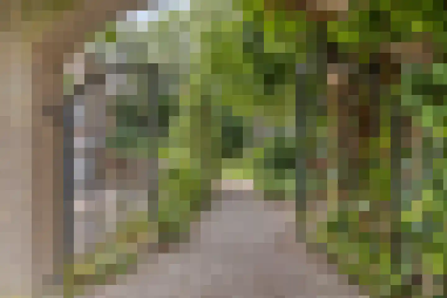 Artillerieweg 13 Uden thumbnail 8