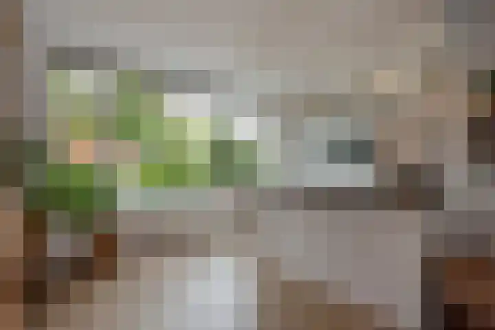 Aruba 8 Zoetermeer thumbnail 10