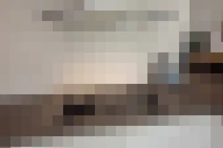 Aruba 8 Zoetermeer thumbnail 13