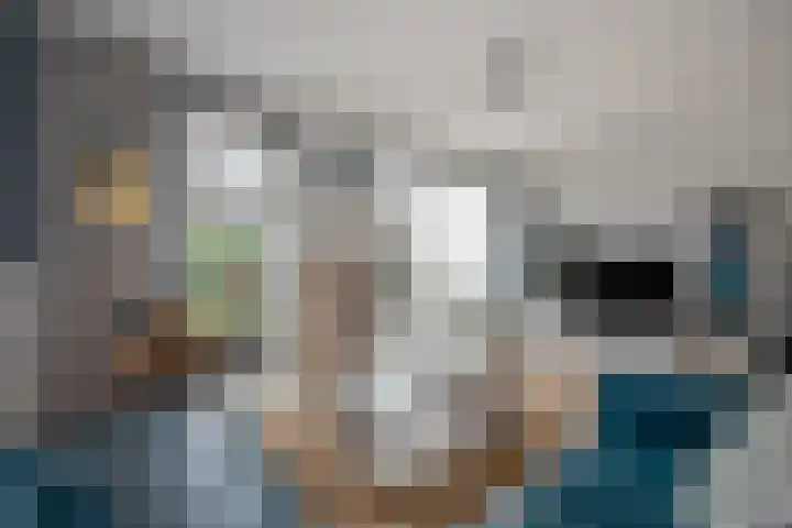 Aruba 8 Zoetermeer thumbnail 15