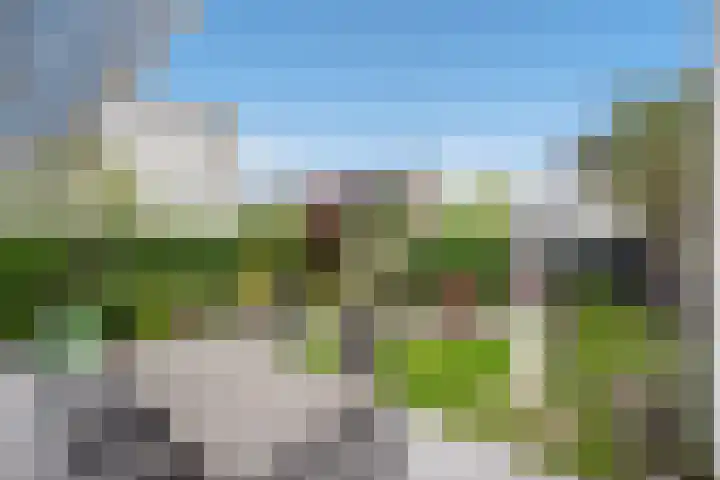 Aruba 8 Zoetermeer thumbnail 16