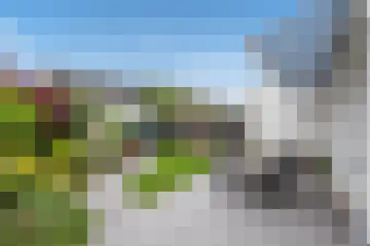 Aruba 8 Zoetermeer thumbnail 17