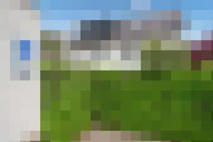 Aruba 8 Zoetermeer thumbnail 20
