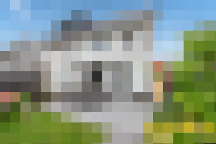 Aruba 8 Zoetermeer thumbnail 21