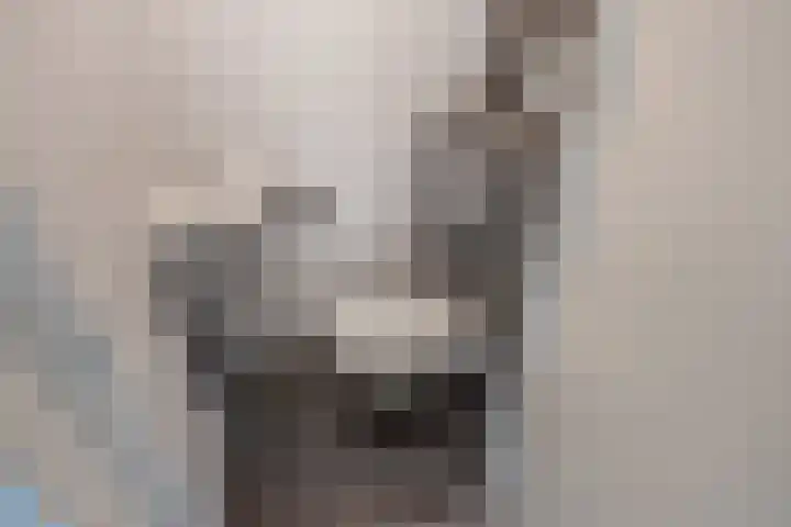 Aruba 8 Zoetermeer thumbnail 23