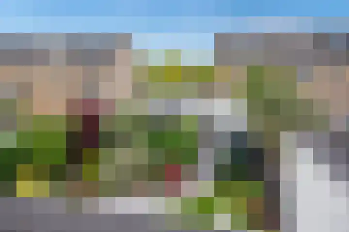 Aruba 8 Zoetermeer thumbnail 30